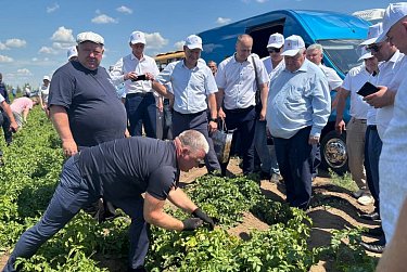 В регионе скоро начнутся полевые работы